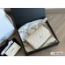 CC new arrival woc caviar leather bag size:19 * 12cm