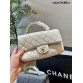 CC HANDLE MINI CF bag size: 20*12*6CM
