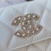 CC 11X8.5X3cm 040308 YG wallet