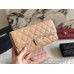 Cc new arrival woc caviar leather bag size: 22cm