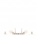 Pearl CC Drop Earrings Silver