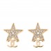 Crystal CC Star Earrings Gold