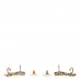 Crystal Star 5 CC Earrings Gold