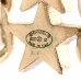 Lambskin Crystal Star Chain Hoop Earrings Gold White