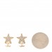 Crystal CC Star Earrings Gold