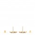 Crystal CC Earrings Gold Black Multicolor