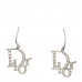 Crystal Logo Earrings Silver