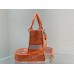 CD Medium Lady D Lite Bag