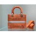 CD Medium Lady D Lite Bag