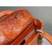 CD Medium Lady D Lite Bag