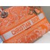 CD Medium Lady D Lite Bag
