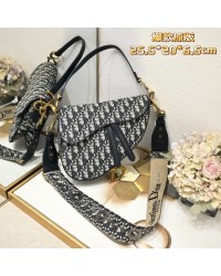 D saddle Be a classic with classics crossbody bag