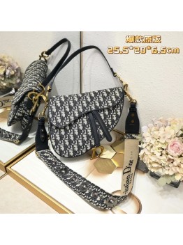 D saddle Be a classic with classics crossbody bag