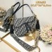D saddle Be a classic with classics crossbody bag