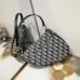 D saddle Be a classic with classics crossbody bag