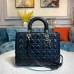 CD  Large Lady CD Bag