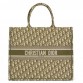 D Book Tote Bag In Green Oblique Canvas