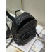 CD   Backpack