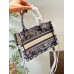 D mini tote bag size: 21.5x13x7.5cm