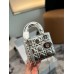 D new arrival lady bag