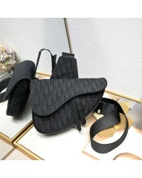 D homme2023 Pre-Fall saddle bag size : 20×28.6x5cm