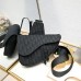 D homme2023 Pre-Fall saddle bag size : 20×28.6x5cm