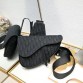 D homme2023 Pre-Fall saddle bag size : 20×28.6x5cm