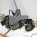 D homme2023 Pre-Fall saddle bag size : 20×28.6x5cm