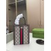 GG Ophidia bag size : 15*5*19 cm