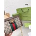 GC517 Ophidia GG Mini Bag /  7.1×5.1×2.5inch