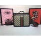 GC118   9.8×7.9x3inch