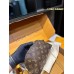 Louis Alma new arrival mini bag size: 24*17 cm