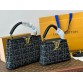 Louis Capucines new arrival bag
