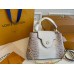 Louis Capucines new arrival bag