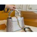 Louis Capucines new arrival bag