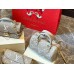 Louis Speedy nano new arrival bag size: 20 cm