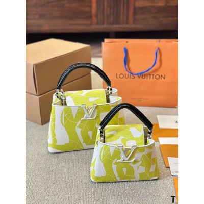 Louis capucines new arrival bag