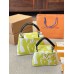 Louis capucines new arrival bag
