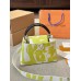 Louis capucines new arrival bag