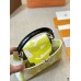 Louis capucines new arrival bag