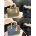 Louis new arrival speedy 25 denim bag size: 25 * 19  cm