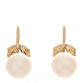 18K Yellow Gold Akoya Cultured Pearl 6.5-7mm Leaf Screw-Back Earrings