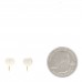 18K Yellow Gold Akoya Cultured Pearl 7-7.5mm Screw Back Earrings