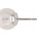 18K White Gold Akoya Cultured Pearl 8-8.5mm Stud Earrings