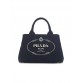 PP Small Cotton Canvas Tote in Navy