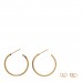 18K Rose Gold Medium T Wire Hoop Earrings