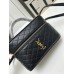 Y Mini Gaby Saint 2024 Mini Gaby size: 18×11×6.5 cm