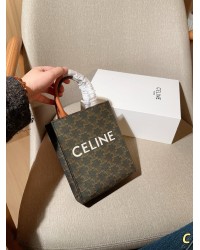 Céline bag 1
