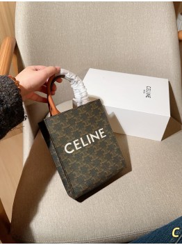 Céline bag 1