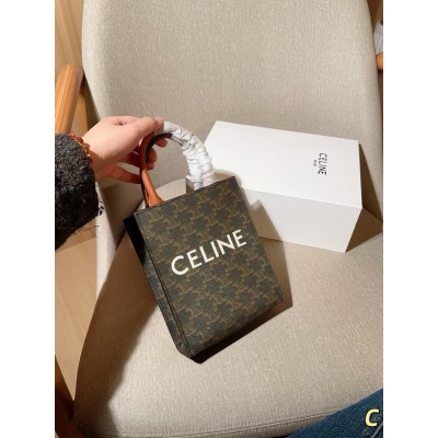 Céline bag 1